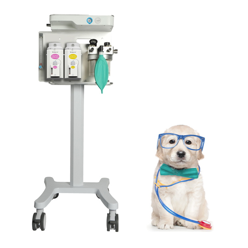 Veterinary Anesthesia Machine